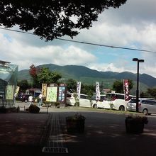 この木陰スペースがあるので、癒されました。