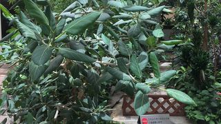 ターミナル内の癒し