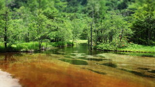 田代湿原の奥にあります ♪