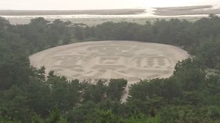 近くから見ても上から見ても迫力がありました。