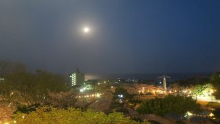 お花見スポット