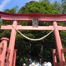 途中で寄った弁天島の神社