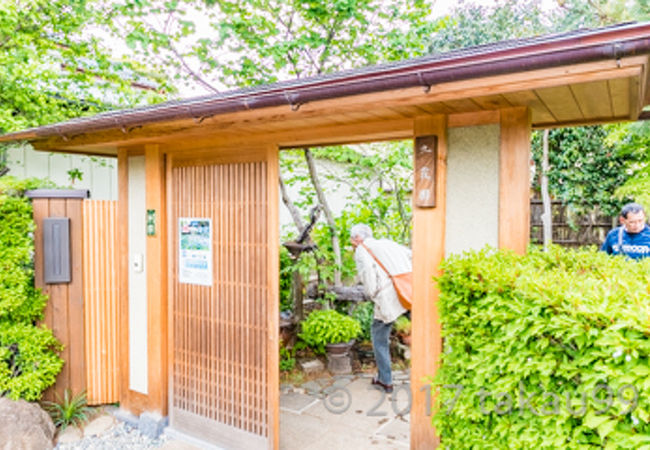 九霞園さんにはあまり人はいなくて、のんびり盆栽選びができます。