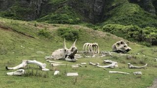 見たことのない絶景