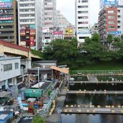 観賞魚の販売と釣り堀