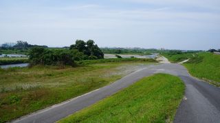 堤防に囲まれた広い河川敷からは大山を望んだり
