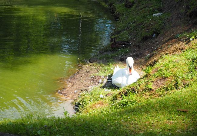 自然豊かで綺麗な公園