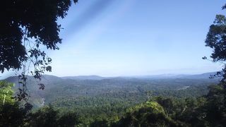 大自然を高いとこから一望です