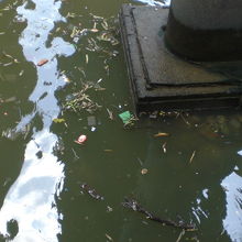 残念なことですが、チャオプラヤ川の水質は、だんだん悪化してい