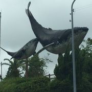 太地くじら浜公園へ向かう途中にありました。