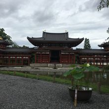 鳳凰堂のすぐ隣にあります