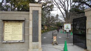 見ごたえたっぷり