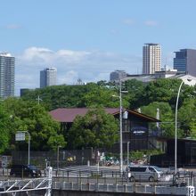 通天閣も溶け込む