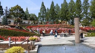 入場無料なので気軽に行けます。