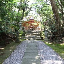 鬱蒼とした原生林と拝殿