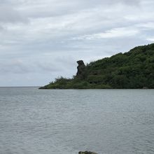 横から見ると熊に見えました。