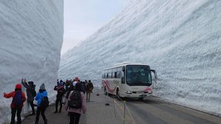 「雪の大谷」と「花の大谷」を楽しんだ旅行です。