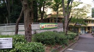 環境保護関係の教育の様々なイベントが開かれていて興味深い