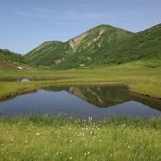 山頂から後立山が一望できる