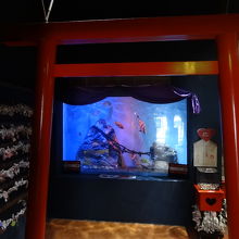 夫婦岩神社で参拝