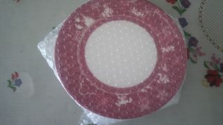 メラニン製プレートを購入！