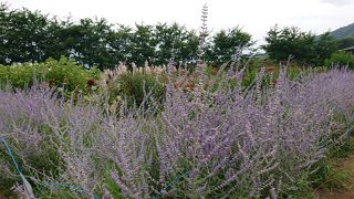 曇っていたら残念ですが、晴れていたら富士山が見える公園。