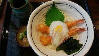 夏にさっぱりの龍神おろしうどん