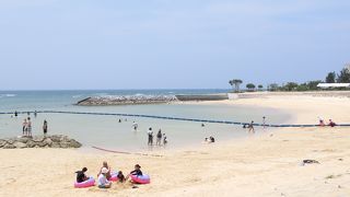 思ったより透明度は低かったです。