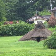 大賀ハスが見られる （井戸尻遺跡）