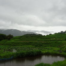 のどかな風景です