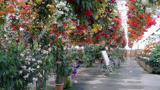 いちご狩りは平日でも要予約 By はなこはなお 日光 花いちもんめのクチコミ フォートラベル いちご狩りは平日でも要予約 By はなこはなお 日光 花いちもんめのクチコミ フォートラベル