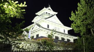 ライトアップされた姿は美しい