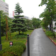 遊歩道のある公園です