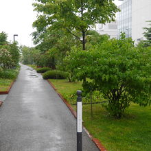 細長い遊歩道が続いています