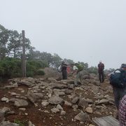 霧降高原丸山コースを登りました