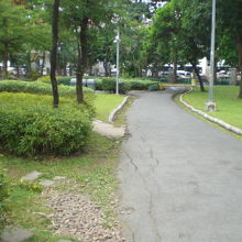 チャトゥチャック公園の道路です。しっかり清掃がされています。