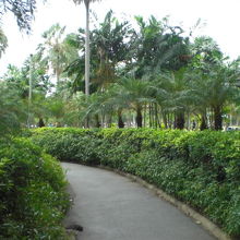 チャトゥチャック公園の中に通ずる小路です。建物があります。