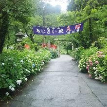 あじさい坂入り口。