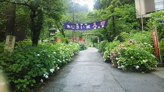 あじさいの季節が綺麗。