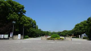 広大な公園