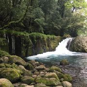 夏休み期間中の土日は…