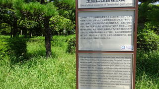 解説版だけですが