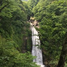 秋保大滝