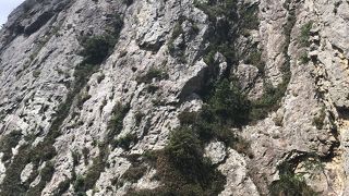 船でしか行けない絶景ポイント