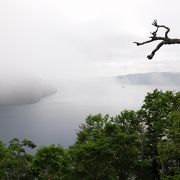 人混みが少なく、霧が流れる静かな湖面を眺めていると心も静まる