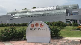 サーモンだけではない