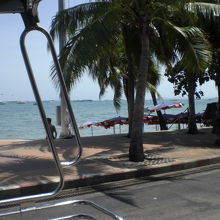 パタヤビーチの歩道には、常夏の樹々が、多数生繁っております。