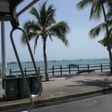 パタヤビーチの沖合には、多数の舟遊びの船が集まっています。