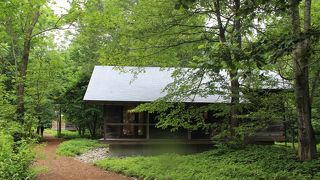 さまざまな花の咲いている庭園