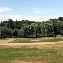 アオダモ資源育成の会と書かれた少年野球場